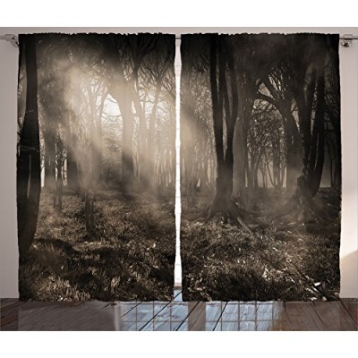 Gothic Decor Curtains 2 Panel Set by Ambesonne, Photo of Dark Forest Scenery with Sunbeams and Fog Vintage Nostalgic Colors Gothic Fantasy Art, Liv...
