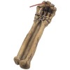 Bone Chilling Skeleton Arm and Hand Incense Stick Holder Display Stand Figurine for Scary Halloween Decorations or Medieval Art & Gothic Home Decor...