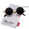 Pro Acme Gothic Steampunk Sunglasses for Men Women Metal Frame Round Lens (Black Lens/Gold Frame)