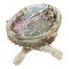 SciencePurchase Abalone Shell & Wooden Tripod for Incense Burning & Smudging 78ABSTRI, 6"