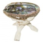 SciencePurchase Abalone Shell & Wooden Tripod for Incense Burning & Smudging 78ABSTRI, 6"