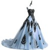 Black Lace Long Tulle A Line Prom Dresses Evening Party Corset Gothic Wedding Gowns Sky Blue US 22W