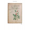 The Voynich Manuscript: The Complete Edition of the World' Most Mysterious and Esoteric Codex