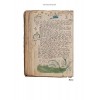 The Voynich Manuscript: The Complete Edition of the World' Most Mysterious and Esoteric Codex